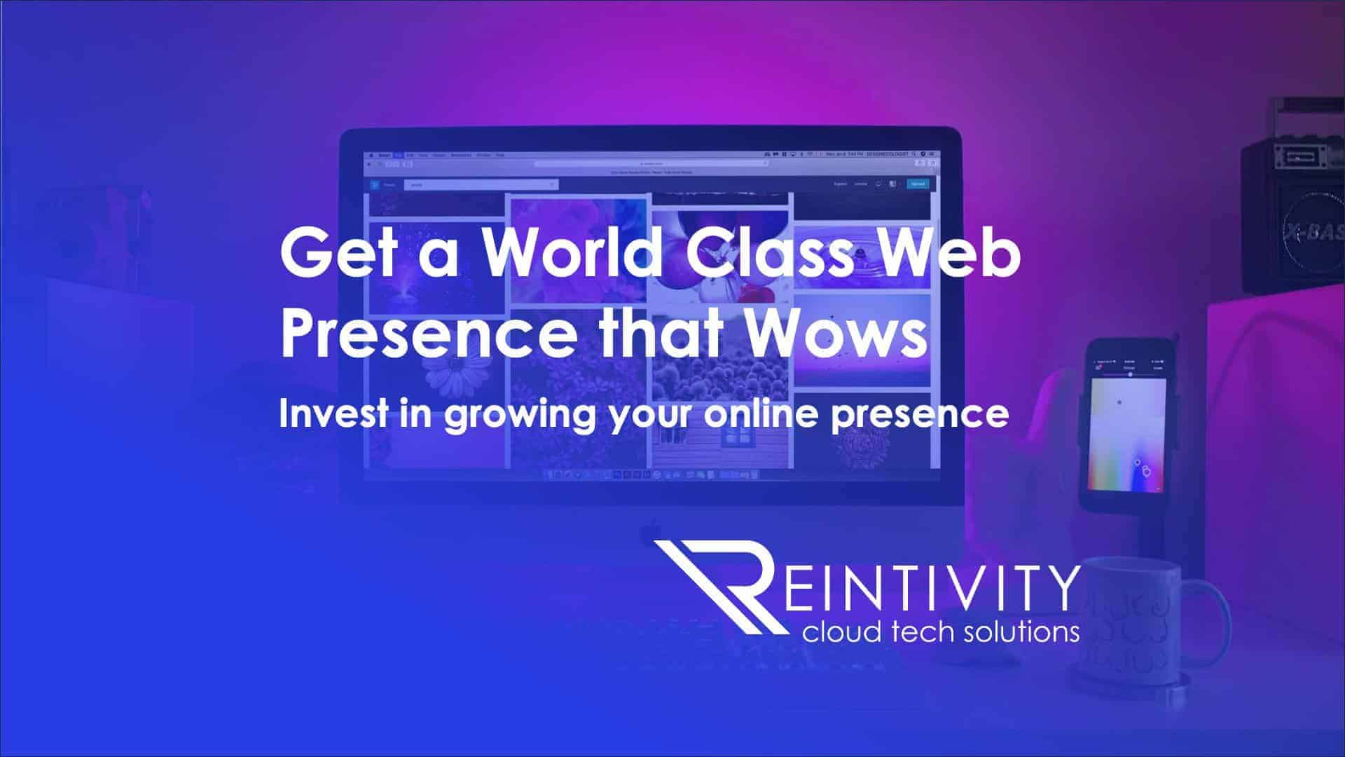 Get a World Class Web Presence that Wows with Reintivity. Invest in growing your online presence.