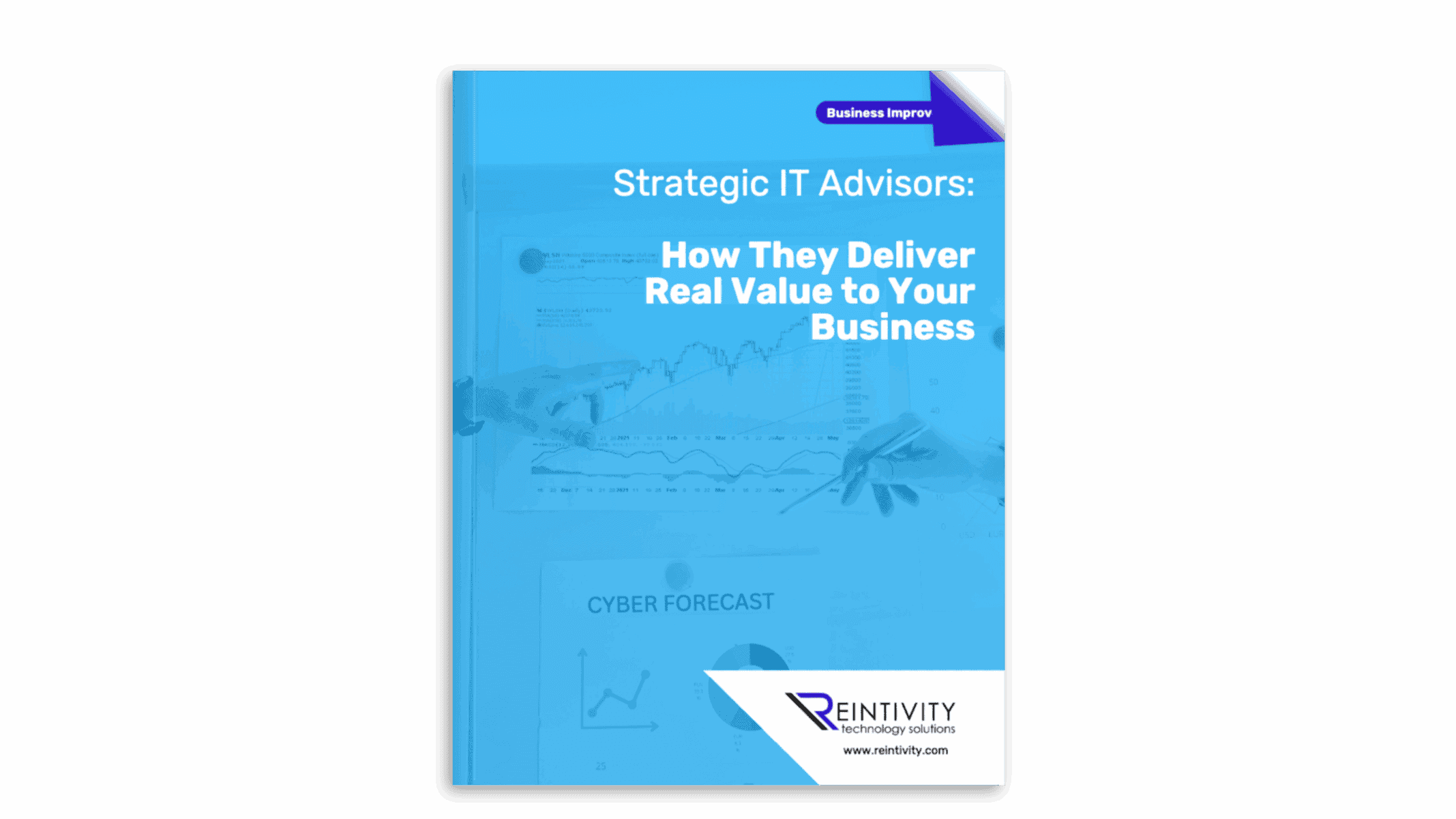 Image of guide book. Guide book text: "Business Improvement. Strategic IT Advisors: How They Deliver Value to Your Business."