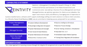 Capabilities statement flyer for Reintivity, a Chicago-based management consulting firm. Large Reintivity logo at left, with text describing services for federal and commercial clients, including business process management, cloud managed services, business transformation, IT support, staffing, and talent solutions. Purple section headers list offerings: project management services, managed services, and talent sourcing and recruitment, plus a &ldquo;Differentiators&rdquo; section.