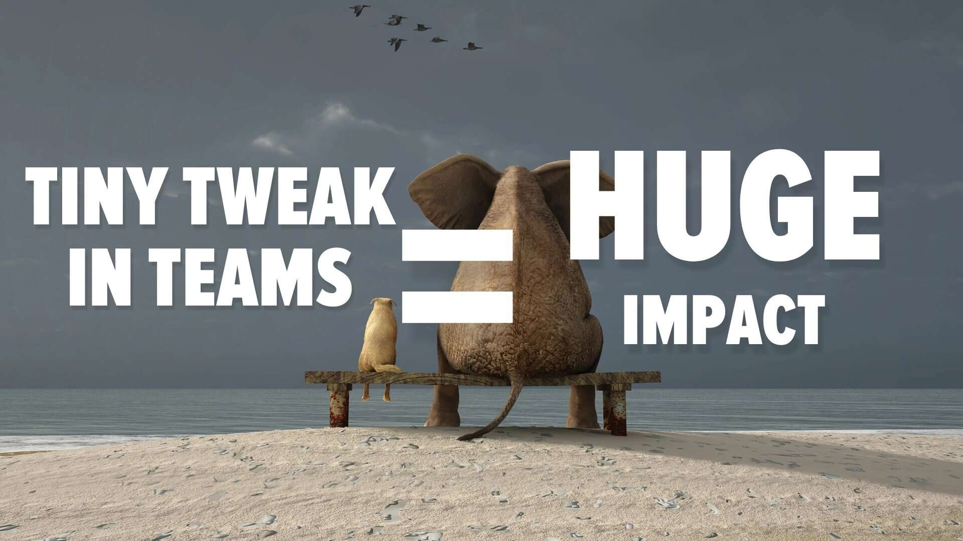 Dog and elephant sitting on bench at the beach. Image text: Tiny tweak in Teams, huge impact
