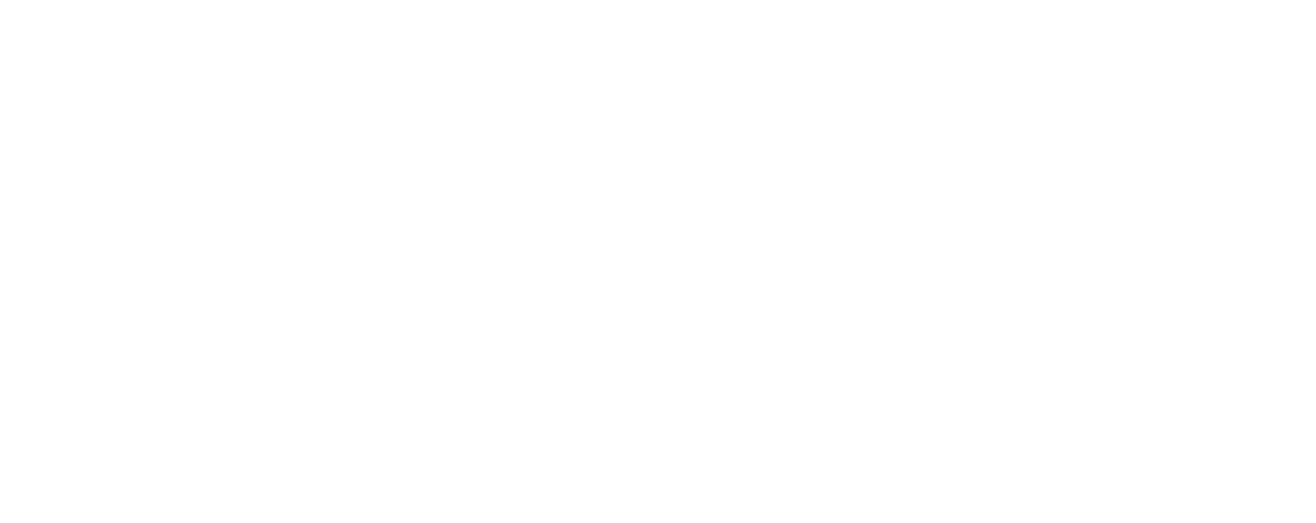 Small Business Expo white transparent logo
